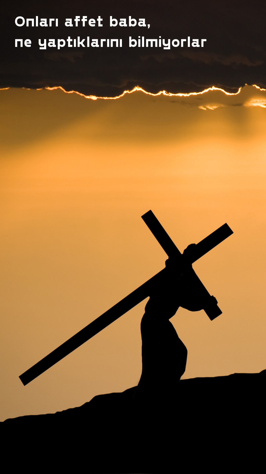 “MOR RENK, ŞANIN DEĞİL KAN’IN MORUDUR.”